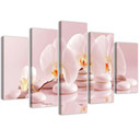 5 stykke lærredsprint Pink Flower Orchid
