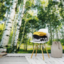 Fotobehang Papierbehang Sunshine Forest - 366x254 cm