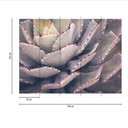Nature cactus plant tapet i lilla-grå - non-woven tapet Designwalls 2 - 2,55 x 3,5 m