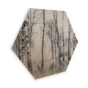Hexagone - Bois Talen - Forêt de bouleaux noirs et blancs