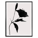 Plakat Kubistika - Nero