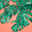 Nature PalmOrange w pomarańczowej zieleni - Fototapeta z włókniny Designwalls 2 - 2,55 x 3,5 m