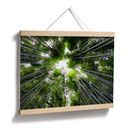 Plakat Hugonnard - Las w Japonii