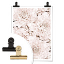 Plakat 1X Studio - Aster Apricot
