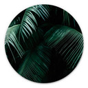 Tableau sur alu-Dibond rond Botanique tropicale