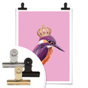 Plakat Loose - Queenfisher