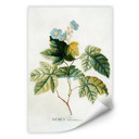 Wallprint W - Ehret - Rubus
