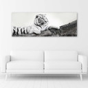 Canvasbillede, Tiger dyreliv natur