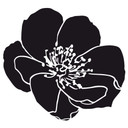 Sticker mural - Splendeur florale 01