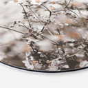 Tableau sur alu-Dibond Annie - Fleurs sauvages - Rond