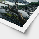 Plakat Las sosnowy w górach Huang Shan - NingYun Ye