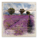 Obraz drewniany pole lawendy - 40x41,5 cm