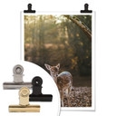 Plakat Fawn