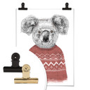 Plakat Solti - Koala zimą