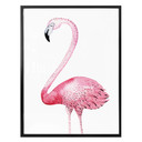 Plakat Kvilis - Pink Flamingo 01