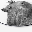 Billede Capybara Morgen Kaffe - Korenkova - Alu-Dibond Rund
