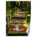 Fototapete, Brücke in einem grünen Wald