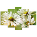 5 stykke lærredsprint, hvide tusindfryd blomster