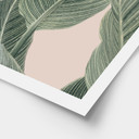 Plakat Calathea - Sisi & Seb