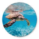 Plateau de table en verre - Tortue en voyage - Rond