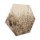 Hexagone - Bois Annie - Herbes