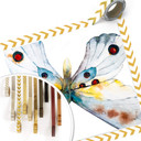 Plakat Kvilis - Butterfly 05