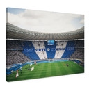 Leinwandbild Hertha BSC - Blau-weiße Choreo im Olympiastadion