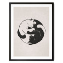 Plakat koty Ying & Yang - Tunaboylu