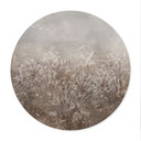 Poster Pampas Gras en Grassen in Beige - Ms Tiff - Rond