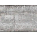 non-woven tapet ConcreteWall Moderne fototapet Designwalls i grå og brun 