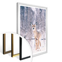 Plakat Winter Fawn