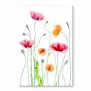 Akrylbillede Disher - Colourful Poppies