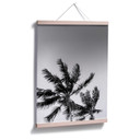 Plakat z palmami w czasie burzy
