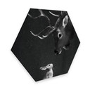Hexagone -Alu Dibond Graves - Cerf et lapin
