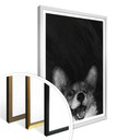 Plakat Graves - Sausage Fox Corgi