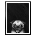 Plakat Graves - Snuggle Pug