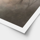 Poster Waldmagie im Morgennebel Beige - Ms Tiff