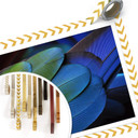 Plakat Tropical Colours