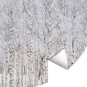 Fototapeta Forest Trees | Birch Forest in Winter - EMELIEmaria - Okrągła - samoprzylepna/nie tkana