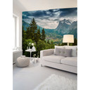 non-woven tapet Designwalls i grøn og grå non-woven tapet Mountain Views natur landskab