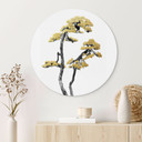 Vægcirkel Amini - Bonsai – print på aluminium (Alu-Dibond)
