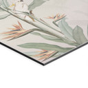 Tropisk skov med kakaduer - Bloomery Decor – print på aluminium (Alu-Dibond)