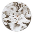 Tableau sur alu-Dibond Annie - Jasmin - Rond
