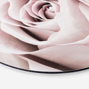 Tableau sur alu-Dibond 1X Studio - Rose Noble - Rond