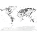 Fototapet - Topografisk Verdenskort - Sort/hvid