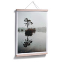 Plakat Samotne drzewo 02