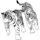 Wallsticker Tigere