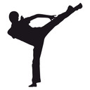 Muursticker Martial Arts 06
