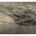 Guido Maria Kretschmer Fotobehang Art Edition Deep Sea Gold