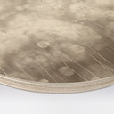 Houten Wanddecoratie Dandelion Dream in Beige - Ms Tiff - Rond